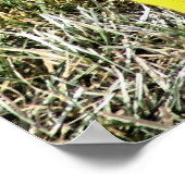 "GOT SPIEL" POSTER (Ecke)