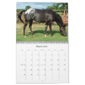 GOT SPOTS? APPALOOSA-KALENDER 2011 KALENDER (Mär 2027)