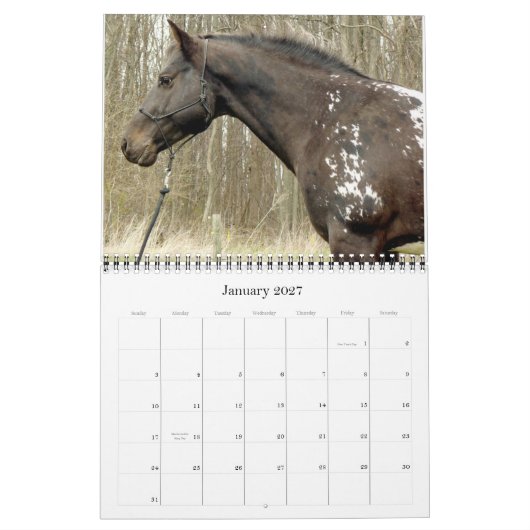 GOT SPOTS? APPALOOSA-KALENDER 2011 KALENDER (Jan 2027)