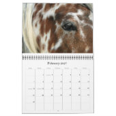 GOT SPOTS? APPALOOSA-KALENDER 2011 KALENDER (Feb 2027)
