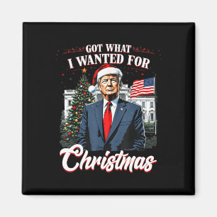 Got, was ich zu Weihnachten Trump 2024 Gewollt hab Magnet