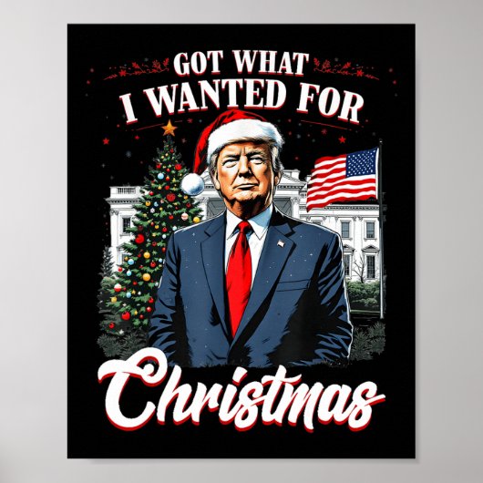 Got, was ich zu Weihnachten Trump 2024 Gewollt hab Poster (Vorne)