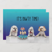 Gotcha Day Party Einladung (Vorne/Hinten)