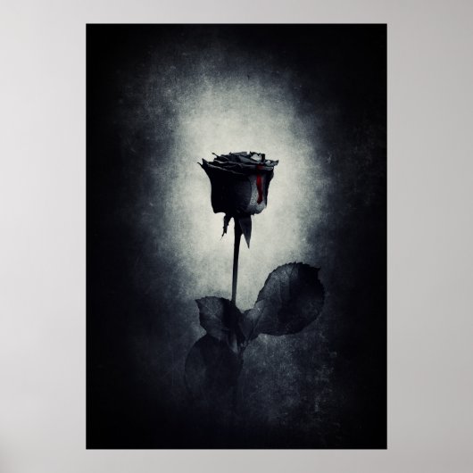 Goth Black Rose Dripping Blood Macabre Poster (Vorne)