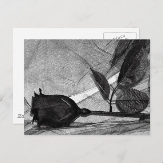 Goth Valentine Feiertagspostkarte (Vorne/Hinten)