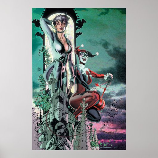 Gotham City Sirens Cv12_R1 Poster (Vorne)