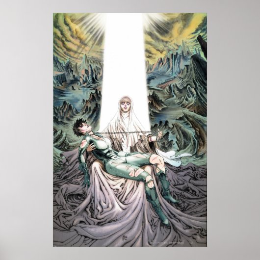 Gotham City Sirens Cv13 Poster (Vorne)