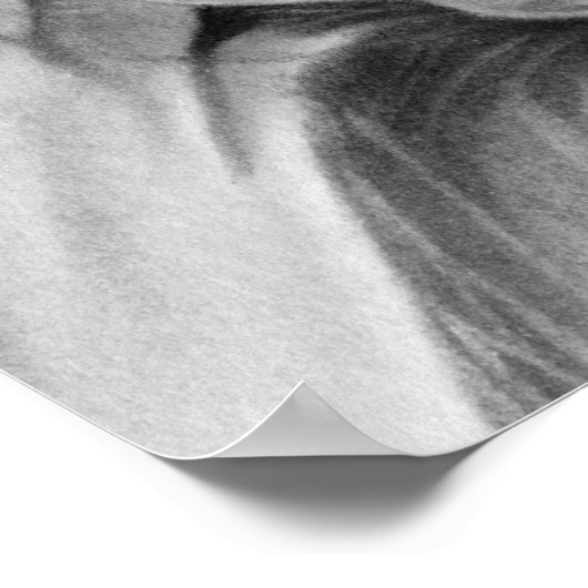 Gothic Beauty Poster (Ecke)