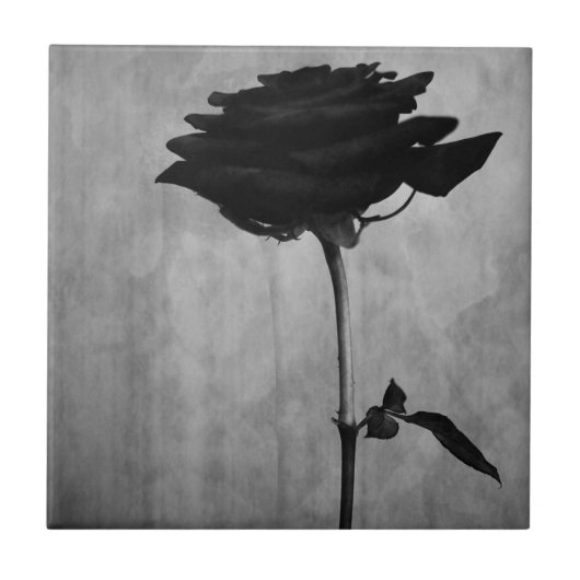 Gothic Black Rose Fliese (Vorderseite)