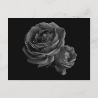 Gothic Black Rose Postkarte