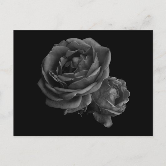 Gothic Black Rose Postkarte (Vorderseite)