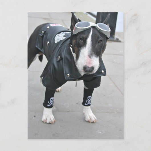 Gothic Bulldog Post Card Postkarte (Vorderseite)