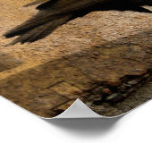 Gothic Caw Poster (Ecke)