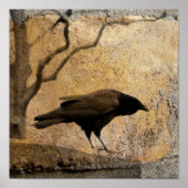 Gothic Caw Poster (Vorne)