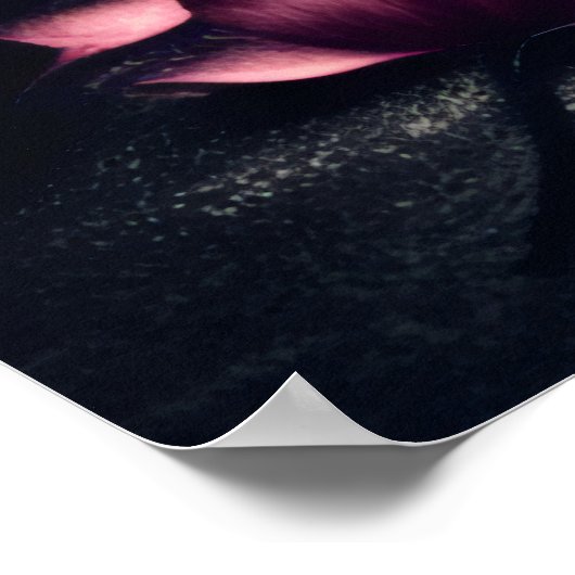 Gothic Dark Rose & Skull Poster (Ecke)