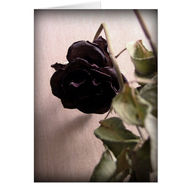 Gothic Dead Rose (Vorne)