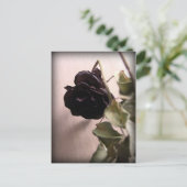 Gothic Dead Rose Postkarte (Stehend Vorderseite)