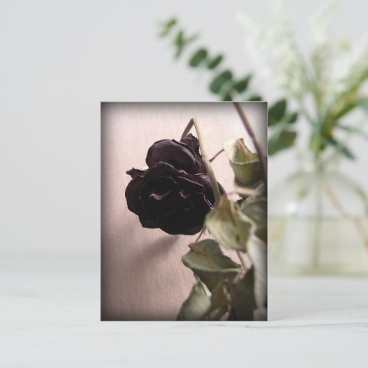 Gothic Dead Rose Postkarte (Stehend Vorderseite)