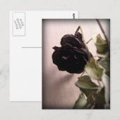 Gothic Dead Rose Postkarte (Vorne/Hinten)