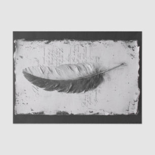 Gothic Feather in einer Studie von Schwarz-Weiß Seidenpapier