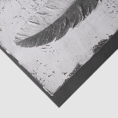 Gothic Feather in einer Studie von Schwarz-Weiß Seidenpapier (Ausschnitt)