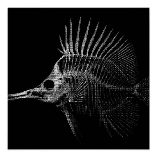 Gothic Fish-Skelett-Röntgenposter Poster (Vorderseite)