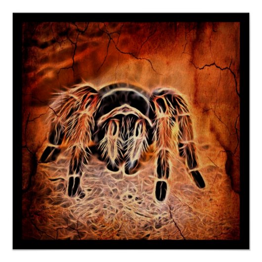 Gothic Halloween Kribbelspinne Tarantula Poster (Vorderseite)