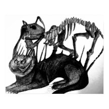 Gothic Horror Art - Cat Skeleton Poster