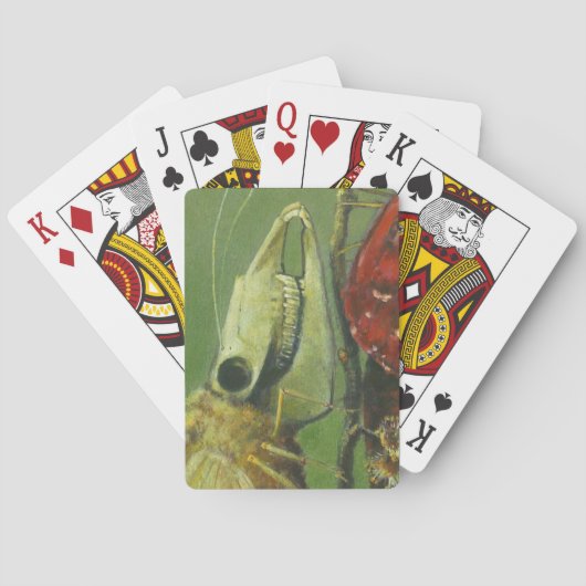 Gothic Mutant Moth Playing Cards Spielkarten (Rückseite)
