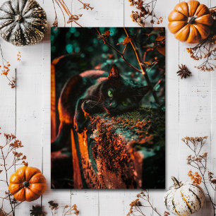 Gothic Occult Black Cat am Friedhof Postkarte