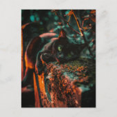 Gothic Occult Black Cat am Friedhof Postkarte (Vorderseite)