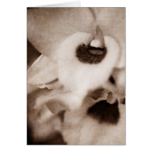 Gothic Orchid - Karte