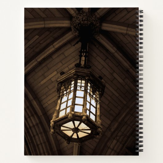 Gothic Pendant Light Spiral Notebook Notizblock (Rückseite)