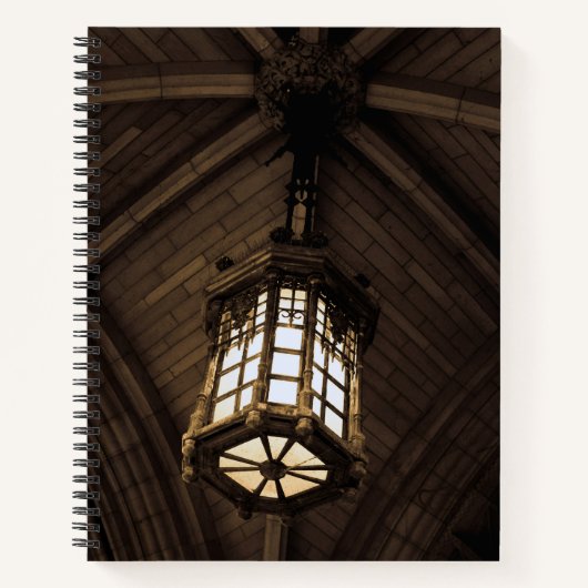 Gothic Pendant Light Spiral Notebook Notizblock (Vorderseite)