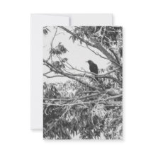 Gothic-Raben-Postkarte