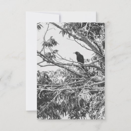 Gothic-Raben-Postkarte Einladung (Vorderseite)