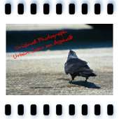 Gothic Raven in Shades of Gray and Black Notizblock