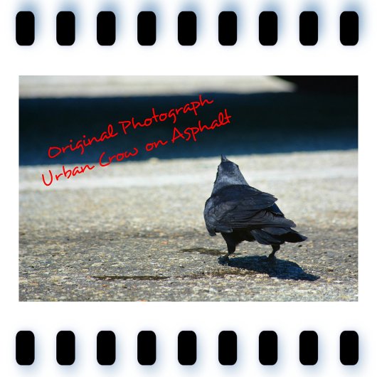 Gothic Raven in Shades of Gray and Black Notizblock