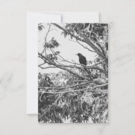 Gothic Raven Postcard Einladung