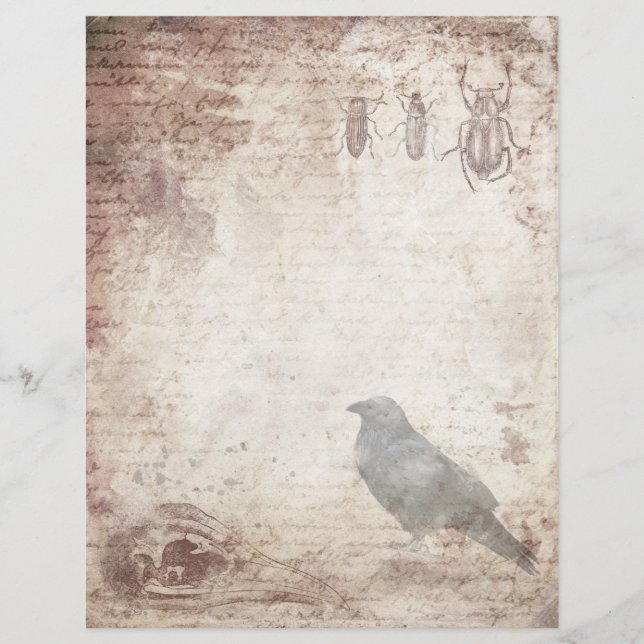 Gothic Raven Vintag Parchbook Scrapbook Paper (Vorderseite)