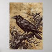 Gothic Raven Vintage Script Dark Academia Poster (Vorne)