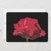 Gothic Red Rose Save the Date Karte (Rückseite)