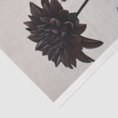 Gothic Skeleton Raven Feathers Floral Decoupage Seidenpapier (Ausschnitt)