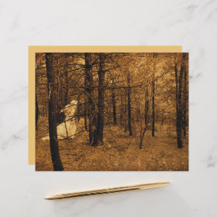 Gothic Vintag Angel Brown Forest Trees