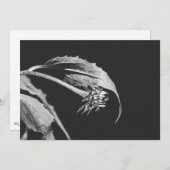 Gothic Wilting Flower Photo Reprint Einladung (Vorne/Hinten)