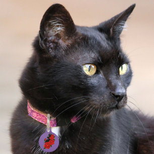 Gothische schwarze Katze rote Rosen lila Haustiermarke