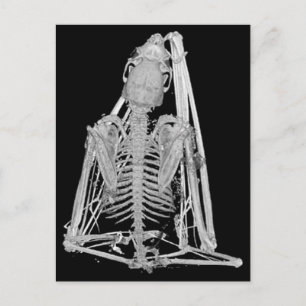 Gothisches Fledermausskelett Postkarte