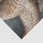 Gothological Mythological Nymph Fantasy Dragon Seidenpapier (Ausschnitt)