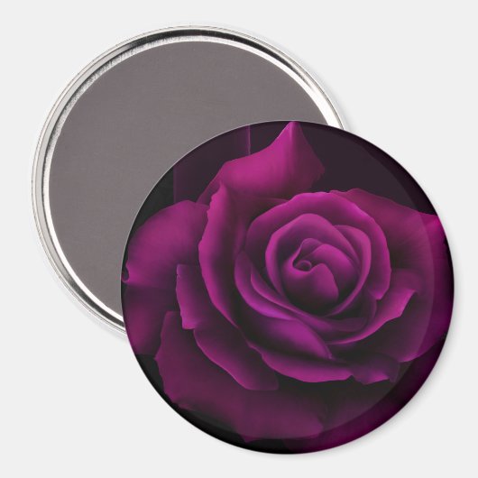 Gotische Blume mit Lila Rote Rose Magnet (Vorderseite/Rückseite)