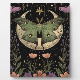 Gotische Darstellung des Nachthimmels Fotoplatte